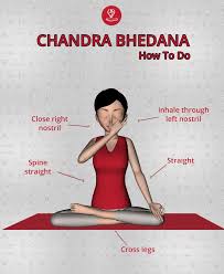 Pin On Yoga