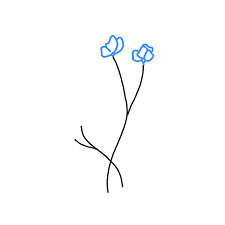 We did not find results for: How To Draw Wildflowers Step By Step Easy Drawing Guides Drawing Howtos