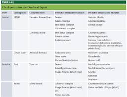 Training By Teri Nasm Study Guide Chapter 6 Fitness