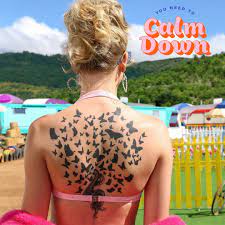 What does taylor swift's song back to december mean? Soyummy