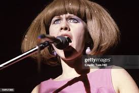 584 Tom Pierson Stock Photos, High-Res Pictures, and Images