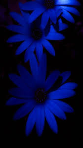 Flower images flower wallpaper spring images hd images nature. Blue Flower Wallpaper By Perfumevanilla 1d Free On Zedge