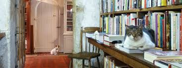 45 Great American Indie Bookstores To Support This Holiday Season