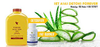 Toksin yang terkumpul didalam badan akan menyebabkan pelbagai masalah kesihatan termasuk berasa letih, lemah, tidak bersemangat, dan tidak bermaya. Cara Membuang Toksin Dalam Badan 6 Cara Detox Mengatasi Jerawat Np Lo Tau Gak 8 Tanda Badan Anda Penuh Toksin Dan Cara Buang Toksin Dalam Badan Secara Tradisional Setokan