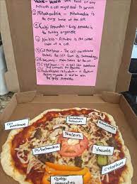 Maybe you would like to learn more about one of these? 10 Animal Cell Model Ideas Cake Cookies 3d Pizza How To Make It With Images Animal Cell Animal Cells Model Edible Cell