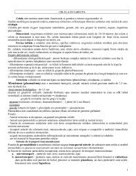 Doc Celula Ek 11pag Badea Andrei Academia Edu