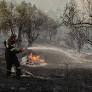 134 Swedish Tourists Evacuated from Lesbos Amid Greek Wildfires