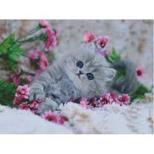 Full drill canvas with complete kit, available in square or round diamonds. 5d Diamond Painting Cute Cat And Pink Flowers Quiltssupply