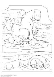 Polar Bear Coloring Pictures This Page Also Opens Up A Link For All Kinds Of Free Coloring Pages F Polar Bear Coloring Page Bear Coloring Pages Coloring Pages
