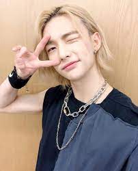 Stray Kids Global On Twitter 200901 Skz Japan Ig Trans Look At Skz And Be Healed Https T Co Y8ji4bwazm Stray Kids Chain Necklace Necklace Kids