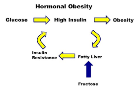 The Deadly Effects Of Fructose Part 2 By Dr Jason Fung Medium