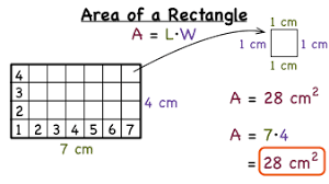 For example, the space in which you pour to find the perimeter of a rectangle or square you have to add the lengths of all the four sides. What Is The Formula For The Area Of A Rectangle Virtual Nerd