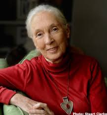 Additional Programs and Events