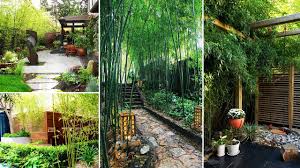 Oh, and there is a 'how to' video as well! 51 Beautiful Backyard Bamboo Garden New Ideas For A Backyard Garden Youtube