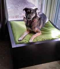 11 Clevere Ikea Hacks Bei Denen Alle Hundemenschen Sagen Das Muss Ich Sofort Nachmachen In 2020 Hundebesitzer Hundehaltung Coole Hundebetten