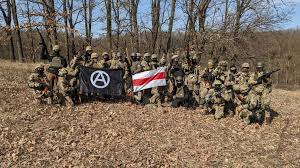 Image result for Ochna hackarsii