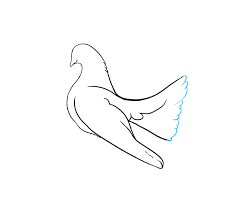 Join more than 8 million creators learning with skillshare. How To Draw A Dove In A Few Easy Steps Easy Drawing Guides