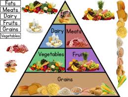 Have your young foodie decorate food coloring pages. Food Pyramid Worksheets Teaching Resources Teachers Pay Teachers