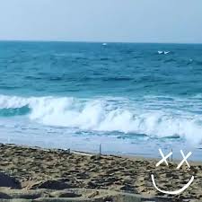 Prévisions météo ain taya (alger) pour les 8 jours prochains. The Best Body Board Home Facebook