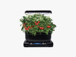 Grow fresh herbs, vegetables, and more in 3 easy steps all year round with aerogarden indoor garden systems. Miracle Gro Aerogarden Harvest Wi Fi Review Easy Indoor Growing Wired
