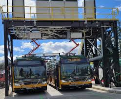 Image result for Dark Yellow Green 2023 Fleet