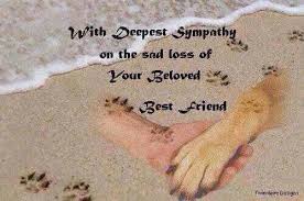 Maybe you would like to learn more about one of these? 28 Dogs Prayers For Loss Ideas Dogs Dog Quotes Rainbow Bridge