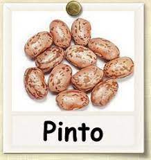 Pin On Gardening