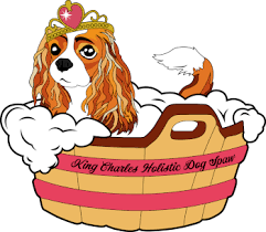 What owner doesn't want a fetchingly clean, fluffy, happy dog without the hassle of prepping and cleaning up afterward? Self Serve Dog Bathing Grooming King Charles Holistic Spaw