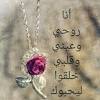 محمد رمضان محمود حجازي ‎; 3