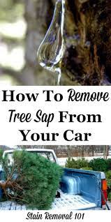 Put a bit on a paper towel and dab it on. How To Remove Tree Sap From Car