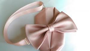 Pink Blush Dusty Rose Light Rose Bow Tie With Pocket Square Set Adult And Kid Size 2510111 Weddbook