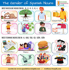 1.1 Nouns And Articles - Leccin 1 1.1 Nouns And Articles. Spanish Nouns.  Ante Todo A Noun Is A Word Used To Identify People Animals Places Things Or  | Course Hero
