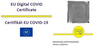 Ve své aplikaci bude moci mít všechny certifikáty svých svěřenců například. Tecka A Ctecka Rysuje Se Podoba Ceske Verze Covid Pasu Platna V Cele Eu Mobilmania Cz