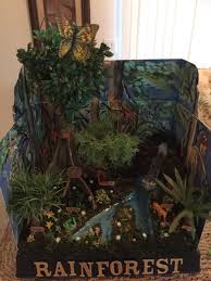 Biome In A Box Tropical Rainforest Sophias Diorama Rain Forest Habitats Projects Ecosystems Projects Rainforest Project
