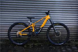 Image result for Orbea knobelii