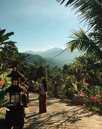 Biodata bonda rozita ibrahim #bondarozitaibrahim. The Forest House My Rumah Hutan Bonda Rozita Experience