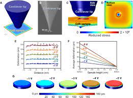Cds antigis para downloads / 3 cds de marcelo serr. Subatomic Deformation Driven By Vertical Piezoelectricity From Cds Ultrathin Films Science Advances