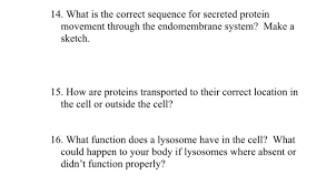 I mean wouldn't this had made cell like ultimate cell or something? 14 What Is The Correct Sequence For Secreted Protein Chegg Com