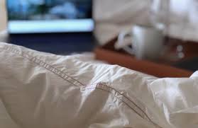 We did not find results for: Organic Cotton Sheets Percale Sheet Sets King Queen Twin Alterra Pure