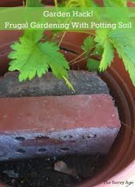 I am all about saving money and doing things myself around the garden. Garden Hack Frugal Container Gardening When Using Potting Soil The Savvy Age