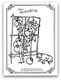 Free Vegetable Garden Coloring Books Printable Activity Pages For Kids Garden Coloring Pages Gardens Coloring Book Colorful Garden