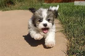 Pin On How Freaking Cute