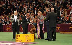 The westminster dog show takes place on sunday, february 9, monday, february 10 and tuesday, february 11, 2020. Westminster Kennel Club Dog Show Wikipedia