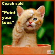 Haha Who Has Heard This Before Cheer Coach Cheerleaders Dance Acro Sports Acrobatics Gymnastics Bal Cats Cute Animal Pictures Funny Animal Pictures