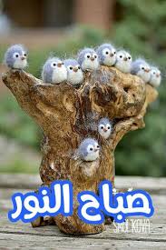 pin by jina jina on صباح الخير good morning beautiful images good morning beautiful good morning