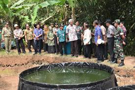 Terapkan Bioflok Peternak Ikan Raup Rp 10 Juta Bulan Pemerintah Provinsi Jawa Tengah