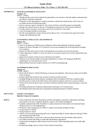 Ecommerce Specialist Resume Samples Velvet Jobs