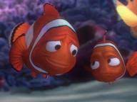 A few centuries ago, humans began to generate curiosity about the possibilities of what may exist outside the land they knew. 167 Finding Nemo Trivia Questions Answers Movies D G