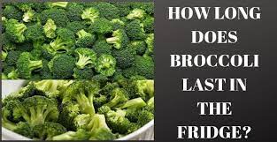 How Long Does Cooked Broccoli Last In The Fridge Kitchen Rank