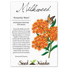 Butterfly Milkweed Seeds Asclepias Tuberosa Milkweed Plant Grow Butterflies Perennial Flowering Plants